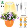 Plant Grow Light 48Pcs LED Beads Height Angle Adjustable Ring Lamp Automatic Timer Dimmable Warm White Light for Bonsai Flower Seeds