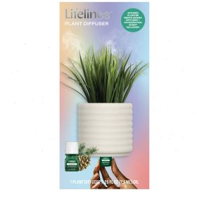 Plant Diffuser with ClickWick Essential Oil Blend, Rechargeable & Waterless Aromatherapy Diffuser for Home and Office, Modern Grass Planter