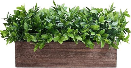 Winlyn Artificial Boxwood Plants in Rectangular Wood Planter Farmhouse Greenery