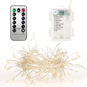 2M 100 LED Fairy String Lights Copper Wire w/Remote Control Party Xmas Decore Lights (Option: Warm)